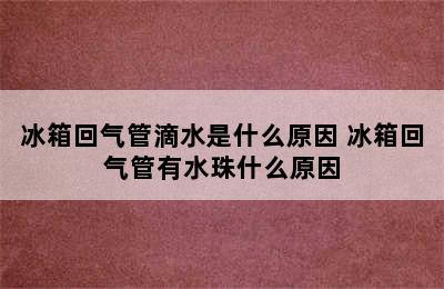 冰箱回气管滴水是什么原因 冰箱回气管有水珠什么原因